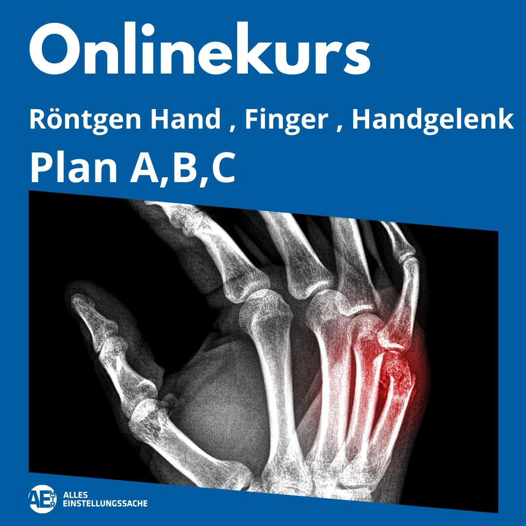 Onlinekurs: Hand, Finger, Handgelenk live am 17.02.2025 - Alles Einstellungssache
