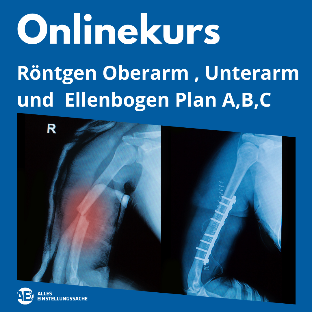 Onlinekurs: Oberarm, Ellenbogen, Unterarm live am 10.03.2025 - Alles Einstellungssache