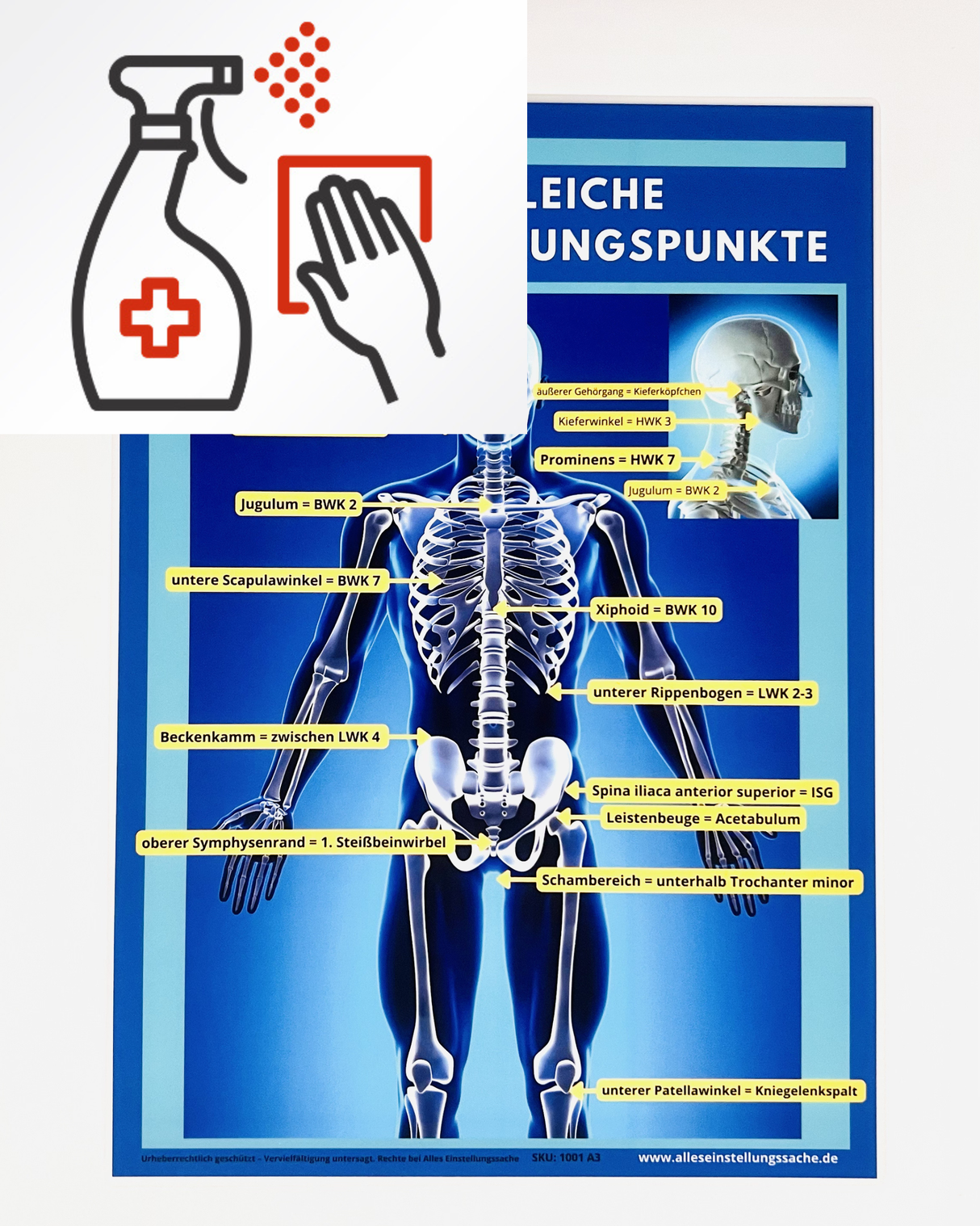 Einstellhelfer I Höhengleiche Körpermarkierungspunkte - Alles Einstellungssache