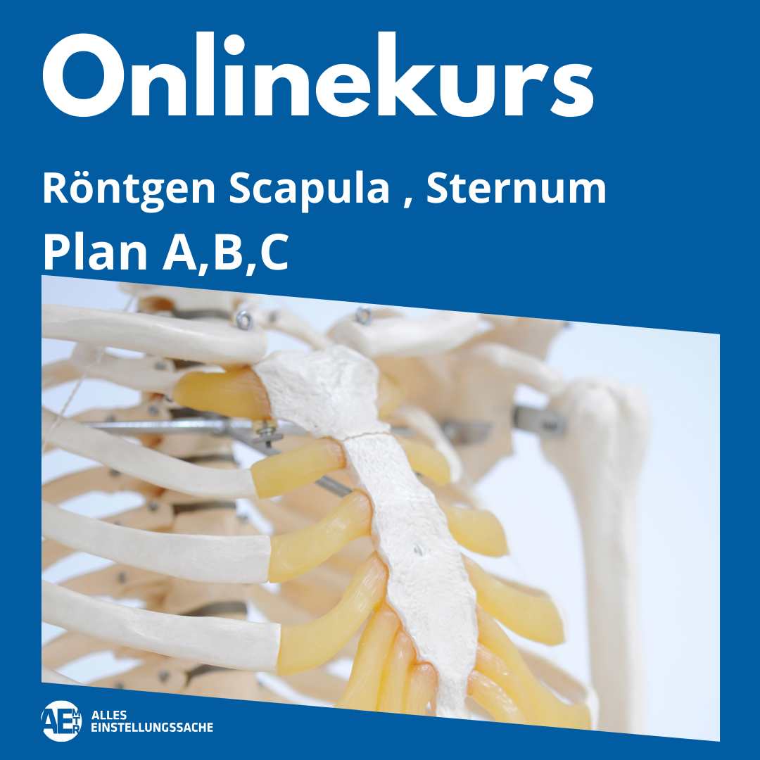 Onlinekurs: Scapula, Sternum live am 07.04.2025 - Alles Einstellungssache 