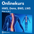 Onlinekurs: HWS, Dens, BWS, LWS live am 28.04.2025 - Alles Einstellungssache 