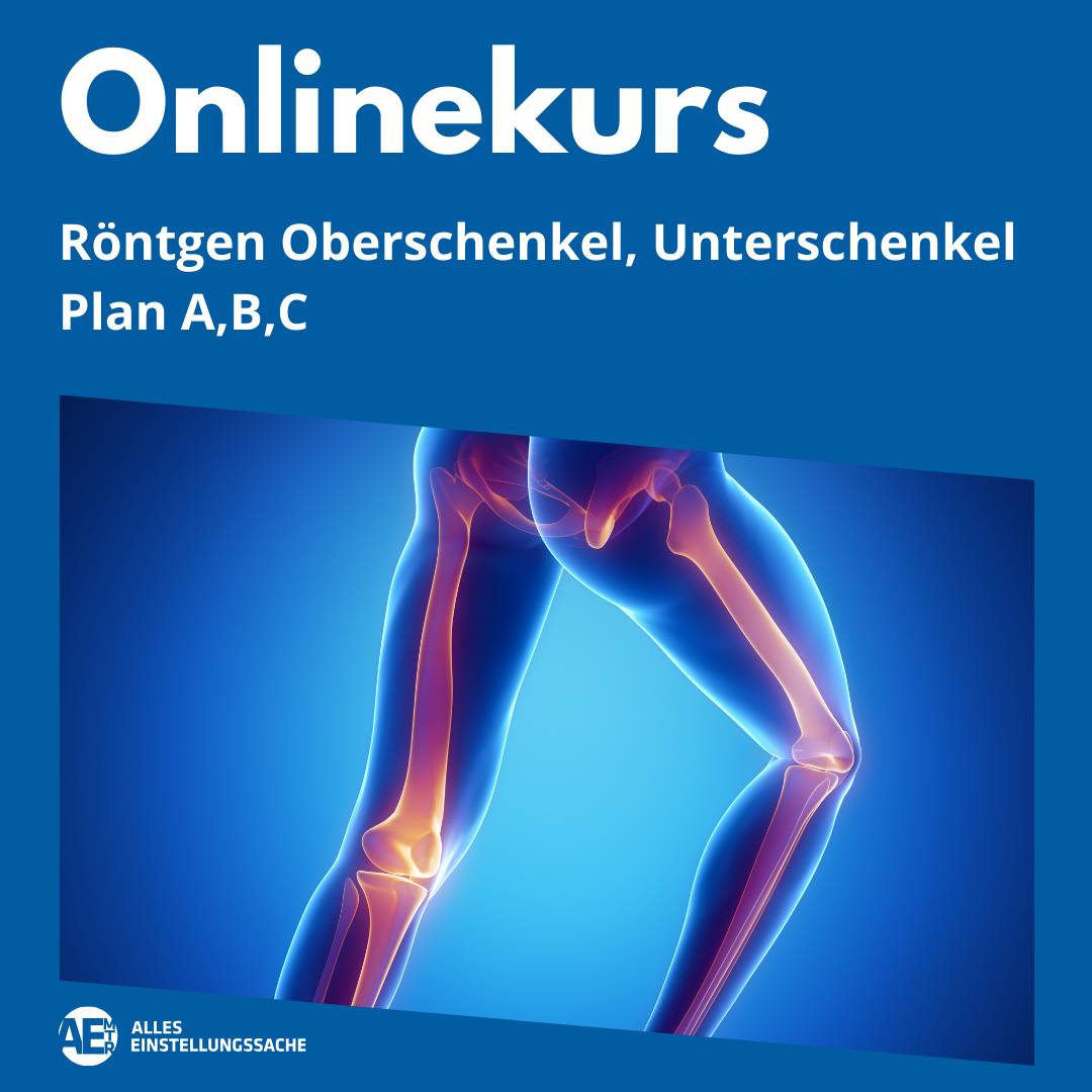 Onlinekurs: Oberschenkel, Unterschenkel live am 23.06.2025 - Alles Einstellungssache 