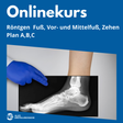 Onlinekurs: Fuß, Zehen live am 30.06.2025 - Alles Einstellungssache 