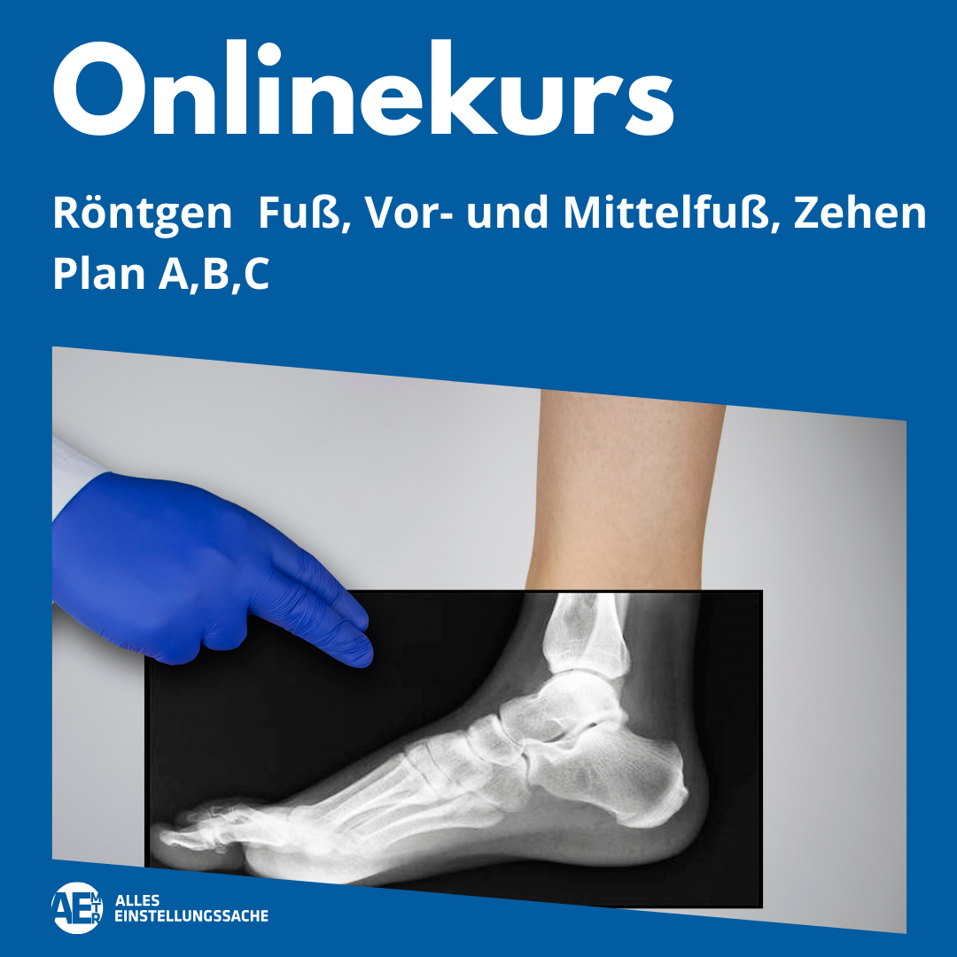 Onlinekurs: Fuß, Zehen live am 30.06.2025 - Alles Einstellungssache 