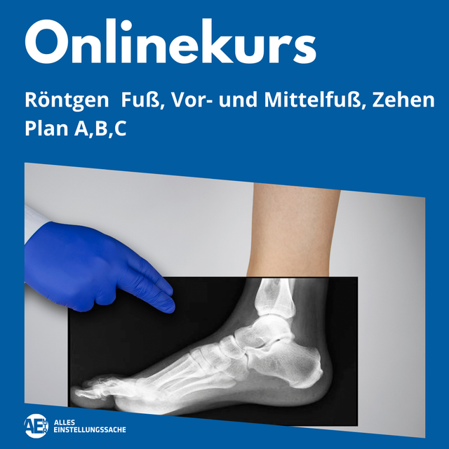 Onlinekurs: Fuß, Zehen live am 30.06.2025 - Alles Einstellungssache 