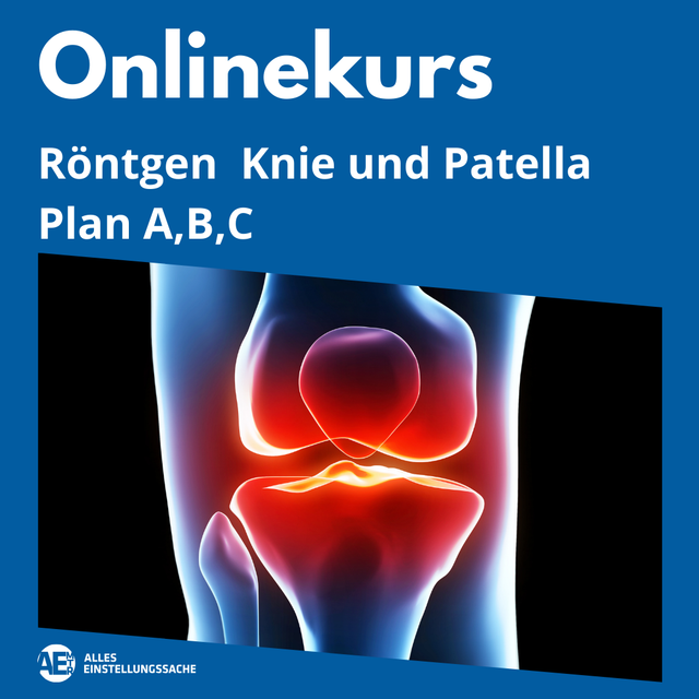 Onlinekurs: Knie und Patella I live am 06.10.2025 - Alles Einstellungssache 