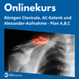 Onlinekurs: Clavicula, AC-Gelenk und Alexander-Aufnahme live am 31.03.2025 - Alles Einstellungssache 