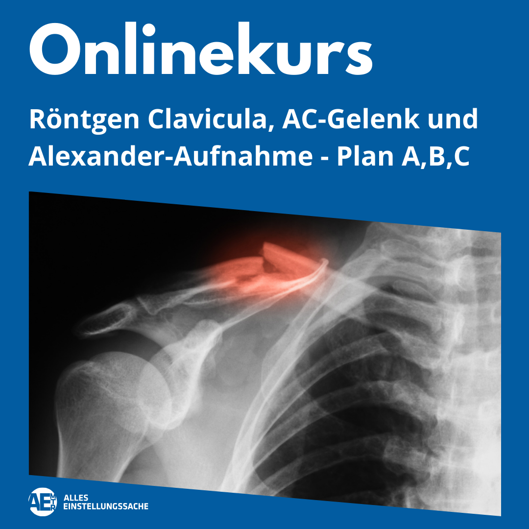 Onlinekurs: Clavicula, AC-Gelenk und Alexander-Aufnahme live am 31.03.2025 - Alles Einstellungssache 