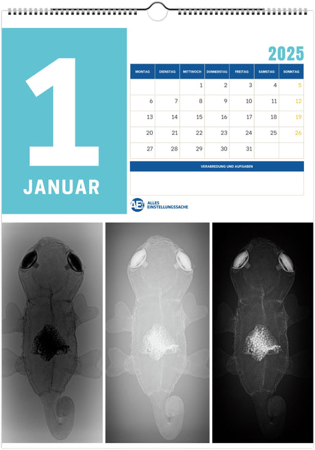 Röntgenkalender 2025 - Kindermotive